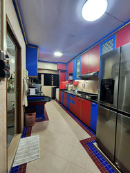 Blk 205C Compassvale Place (Sengkang), HDB Executive #546069331